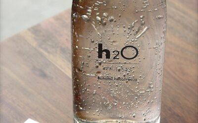 Pij więcej wody i oszczędzaj – najlepsze alternatywy dla plastikowych butelek!